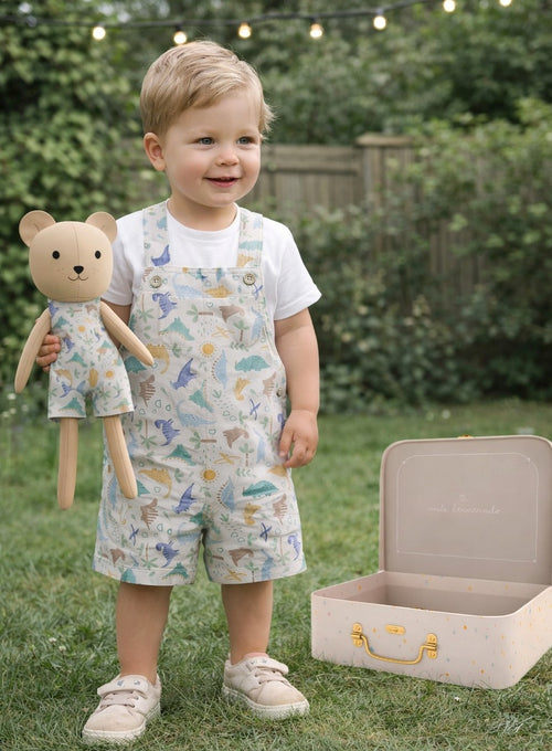 Boys Dino Romper & Matching Plush Toy with Petit Case – Teddy Bear